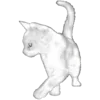 🐈 Эмодзи «𝒲𝘩𝘪𝘵𝘦» для Telegram