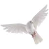 🤩 Эмодзи «𝗐𝗁𝗂𝗍𝖾 𝗀𝗈𝗅𝖽» для Telegram