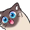 🐱 Эмодзи «Why So Random» для Telegram