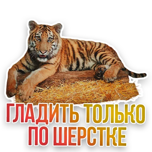 🤗 Стикер «Недомашние животные» для Telegram