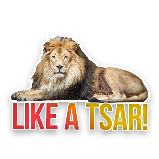 🦁 Стикер «Недомашние животные» для Telegram