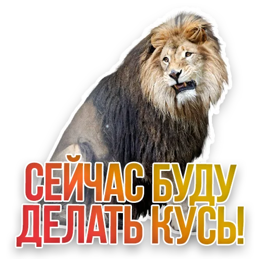 🦁 Стикер «Недомашние животные» для Telegram
