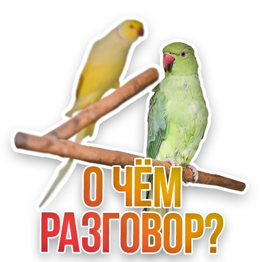 😎 Стикер «Недомашние животные» для Telegram