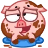🛁 Эмодзи «Свинка Винки - Winky pig emoji» для Telegram