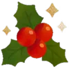 🎅 Эмодзи «𝐂𝗁𝗋𝗂𝗌𝗆𝖺𝗌» для Telegram
