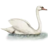 🦢 Эмодзи «Зимняя Русская Сказка» для Telegram