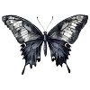 💜 Эмодзи «⚝ ๋࣭ ⭑𝔀𝓲𝓽𝓬𝓱𝔂 ‧₊☽◯☾₊‧⁺˖๋࣭» для Telegram