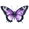 💜 Эмодзи «⚝ ๋࣭ ⭑𝔀𝓲𝓽𝓬𝓱𝔂 ‧₊☽◯☾₊‧⁺˖๋࣭» для Telegram