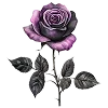 💜 Эмодзи «⚝ ๋࣭ ⭑𝔀𝓲𝓽𝓬𝓱𝔂 ‧₊☽◯☾₊‧⁺˖๋࣭» для Telegram