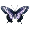 💜 Эмодзи «⚝ ๋࣭ ⭑𝔀𝓲𝓽𝓬𝓱𝔂 ‧₊☽◯☾₊‧⁺˖๋࣭» для Telegram