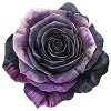 💜 Эмодзи «⚝ ๋࣭ ⭑𝔀𝓲𝓽𝓬𝓱𝔂 ‧₊☽◯☾₊‧⁺˖๋࣭» для Telegram