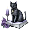 💜 Эмодзи «⚝ ๋࣭ ⭑𝔀𝓲𝓽𝓬𝓱𝔂 ‧₊☽◯☾₊‧⁺˖๋࣭» для Telegram