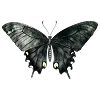 💜 Эмодзи «⚝ ๋࣭ ⭑𝔀𝓲𝓽𝓬𝓱𝔂 ‧₊☽◯☾₊‧⁺˖๋࣭» для Telegram