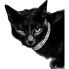 🐈 Эмодзи «заходи в гости ——>» для Telegram