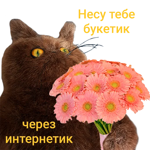 💐 Стикер «wool_lumps_» для Telegram