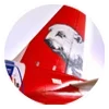 🛩 Эмодзи «Ямал Официально» для Telegram