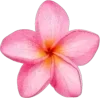 🤩 Эмодзи «Pink #colors #pink #cute» для Telegram