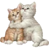 🐈 Эмодзи «Pink #colors #pink #cute» для Telegram