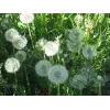 🤩 Эмодзи «Rainbow #color #rainbow #status» для Telegram