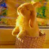 🤩 Эмодзи «Rainbow #color #rainbow #status» для Telegram
