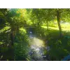 🤩 Эмодзи «Rainbow #color #rainbow #status» для Telegram