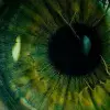 🤩 Эмодзи «Rainbow #color #rainbow #status» для Telegram