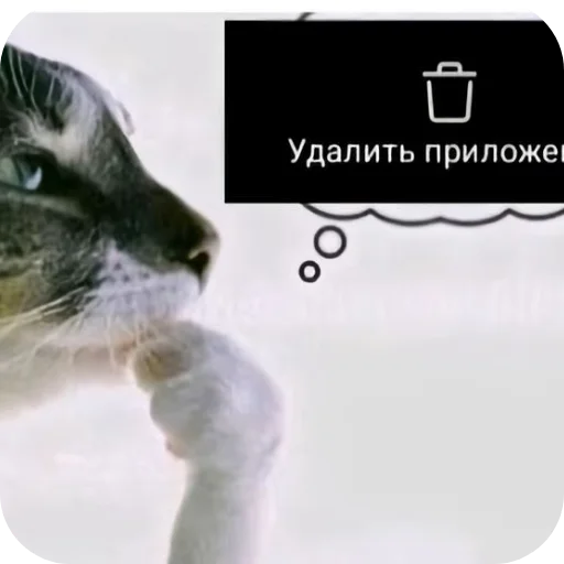 🐱 Стикер «я гениальна, не напоминайте» для Telegram