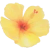 💛 Эмодзи «୧ ‧₊💛⋅ ☆📒⋆౨ৎ˚⟡˖» для Telegram