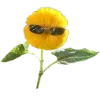 🌼 Эмодзи «Yellow emoji - жёлтые» для Telegram