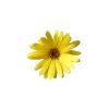 🤩 Эмодзи «Yellow emoji - жёлтые» для Telegram