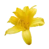 🤩 Эмодзи «Yellow emoji - жёлтые» для Telegram