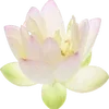 🌟 Эмодзи «Yellow emoji - жёлтые» для Telegram
