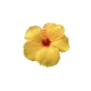 🤩 Эмодзи «Yellow emoji - жёлтые» для Telegram