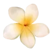 🌼 Эмодзи «Yellow emoji - жёлтые» для Telegram