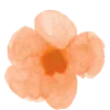 🌼 Эмодзи «🫖 Заходи в гости» для Telegram