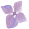 🌸 Эмодзи «🫖 Заходи в гости» для Telegram