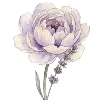 🌹 Эмодзи «лавандовые эмодзи и буквы» для Telegram