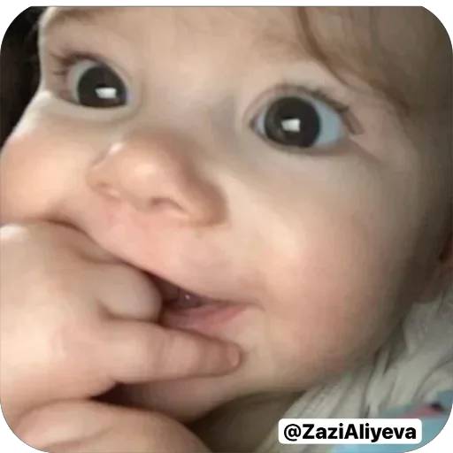 👤 Стикер «Zazi Aliyeva 5» для Telegram