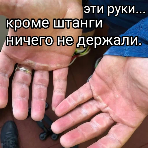Стикерпак Зеленский я тебя люблю для Telegram — скачать