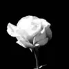 🌟 Эмодзи «Black fashion #color #black #white» для Telegram