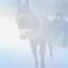 🌟 Эмодзи «Жириновский» для Telegram