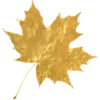 🍁 Эмодзи «Золото» для Telegram