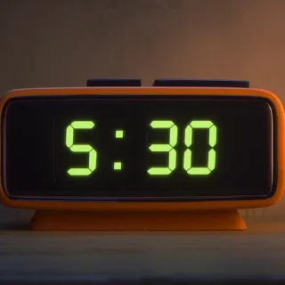 🤗 Стикер «Видео набор стикеров по мульту «Zootopia 2 Зверополис 2»» для Telegram