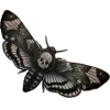 🤩 Эмодзи «Неопознанное #random #other» для Telegram