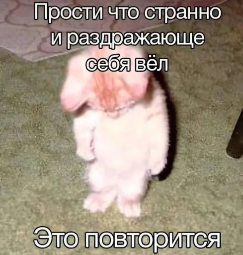 🤩 Стикер «ААААААААА, РЕДДИТ!!!» для Telegram