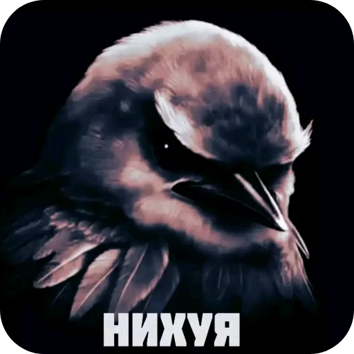 🍖 Стикер «ÐÐ±Ð°ÑÐ´Ð½Ð° ð°» для Telegram