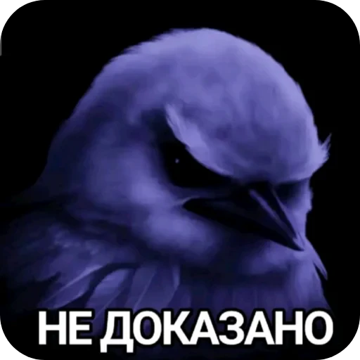 🖼 Стикер «ÐÐ±Ð°ÑÐ´Ð½Ð° ð°» для Telegram