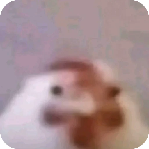 🤲 Стикер «ÐÐ±Ð°ÑÐ´Ð½Ð° ð°» для Telegram