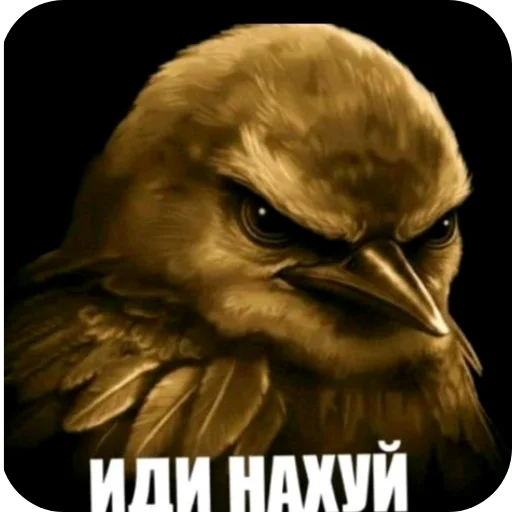 🐦 Стикер «ÐÐ±Ð°ÑÐ´Ð½Ð° ð°» для Telegram