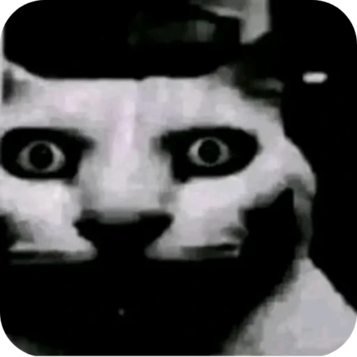 🐱 Стикер «ÐÐ±Ð°ÑÐ´Ð½Ð° ð°» для Telegram